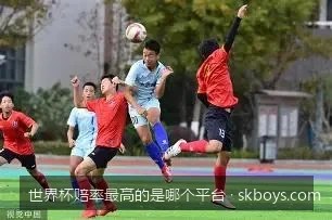 避坑指南：选择高赔率世界杯平台时必须注意的三个安全指标